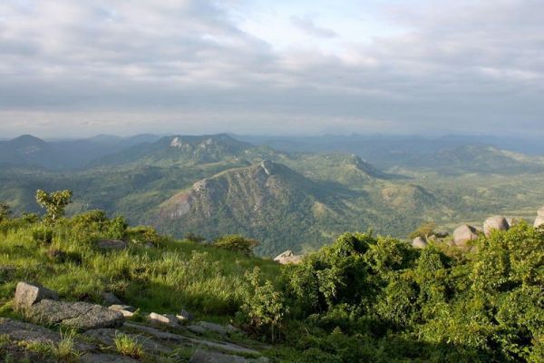 Mont04