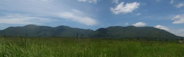 Mont07