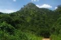 Mont10